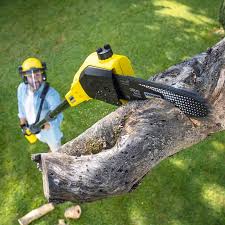 Best Sod Installation  in Brownsboro, TX